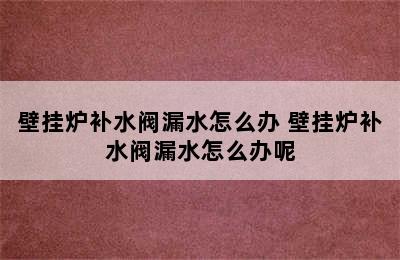 壁挂炉补水阀漏水怎么办 壁挂炉补水阀漏水怎么办呢